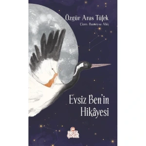 EVSİZ BEN İN HİKAYESİ