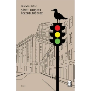 ŞİMDİ KARŞIYA GEÇEBİLİRSİNİZ