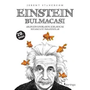 EİNSTEİN BULMACASI