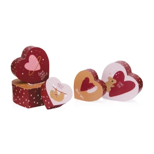GIPTA MORE LOVE KALP HEDİYE KUTUSU BX6602 C 215x220x95mm