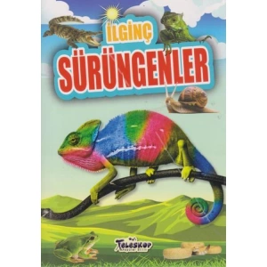 İLGİNÇ BİLGİLER SERİSİ - İLGİNÇ SÜRÜNGENLER