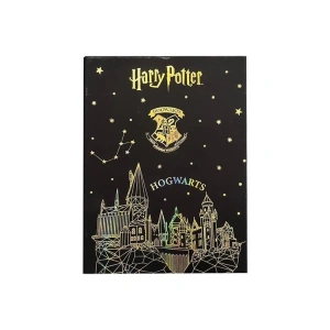 HARRY POTTER KALEMLİ BLOKNOT ÇİFT TARAFLI GOLD -168.17.05