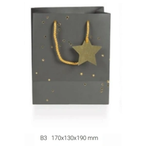GIPTA B3 EMBER HEDİYELİK KARTON ÇANTA BG16210