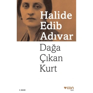 DAĞA ÇIKAN KURT