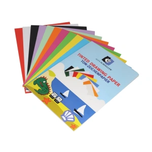 ALEX KOLEJ FON KARTONU 25X35 CM 10 LU DOSYALI ALX006