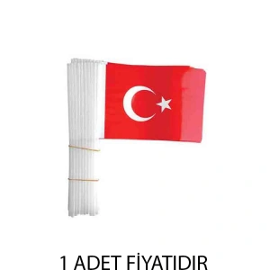 TEKNOPOİNT SOPALI TÜRK BAYRAĞI BÜYÜK BOY 22x32cm - TEKLİ
