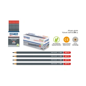GIPTA K1701 ALTIGEN 2.5B ANTRASİT KURŞUN KALEM