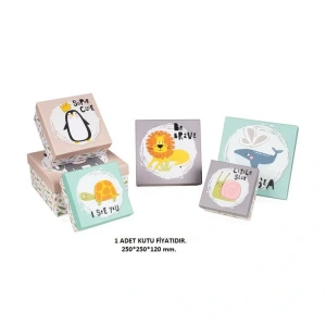 GIPTA BONNY KARE HEDİYE KUTUSU BX1540 F NO:06 250x250x120 mm - TEKLİ