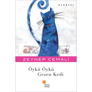 ÖYKÜ ÖYKÜ GEZEN KEDİ
