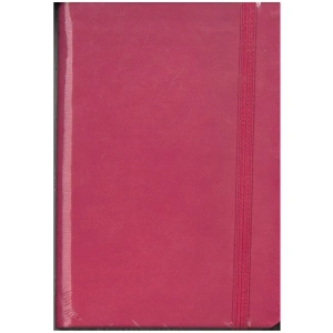LİZY 10X14 RENKLİ THERMO EKONOMİK LASTİKLİ DEFTER