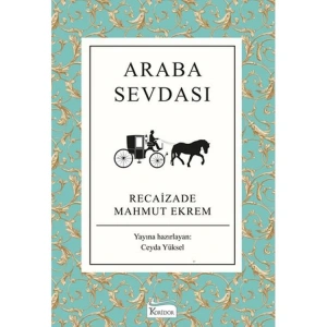 ARABA SEVDASI (BEZ CİLTLİ)