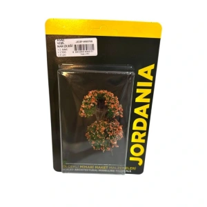 JORDANIA JE03P-W6070B AĞAÇ YEŞİL NAR ÇİÇEĞİ 1/100 6 CM  2Lİ