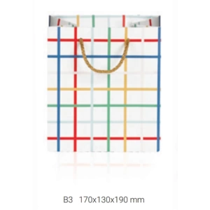 GIPTA B3 JOLLY KÜP HEDİYELİK KARTON ÇANTA BG1674
