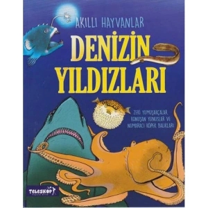 AKILLI HAYVANLAR - DENİZ YILDIZLARI