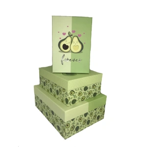 GIPTA AVACODO DİKDÖRTGEN HEDİYE KUTUSU BX0123 A 160x230x90mm