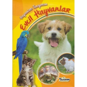 HAYVANLARI TANIYORUM - EVCİL HAYVANLAR