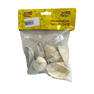 KİWİ  KW234 İŞ EĞİTİMİ DENİZ KABUĞU POŞETLİ