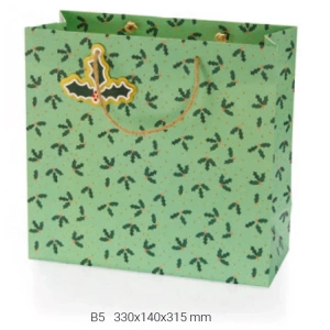 GIPTA B5 CHARM HEDİYELİK KARTON ÇANTA BG0161