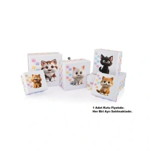 GIPTA FANCY KARE HEDİYE KUTUSU BX2787 G NO:05 210x210x105mm - TEKLİ