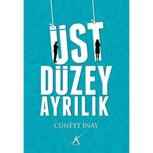ÜST DÜZEY AYRILIK