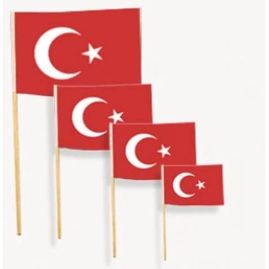 TEKNOPOİNT SOPALI TÜRK BAYRAĞI KÜÇÜK BOY 12x20cm - TEKLİ