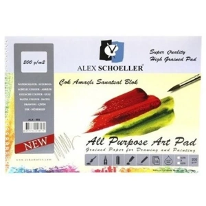 ALEX SCHOELLER SPİRALLİ RESİM DEFTERİ 25x35 200g 15 YP.