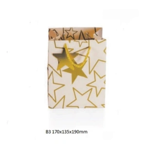 GIPTA B3 LUMOS HEDİYELİK KARTON ÇANTA BG3341