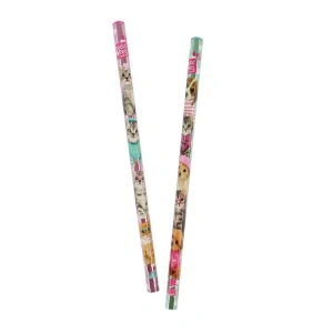 CEM STUDIO PETS  PT-6372  KURŞUN KALEM