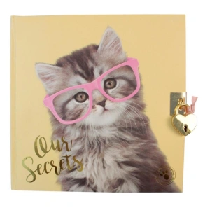 CEM STUDIO PETS PT-7790 18X18cm ÇİZGİLİ KİLİTLİ HATIRA DEFTERİ