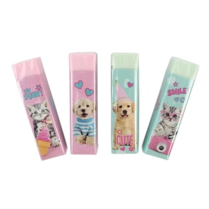CEM STUDIO PETS PT-9627 RENKLİ SİLGİ SETİ