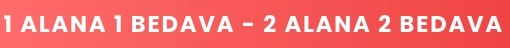 1alana 1 bedava
