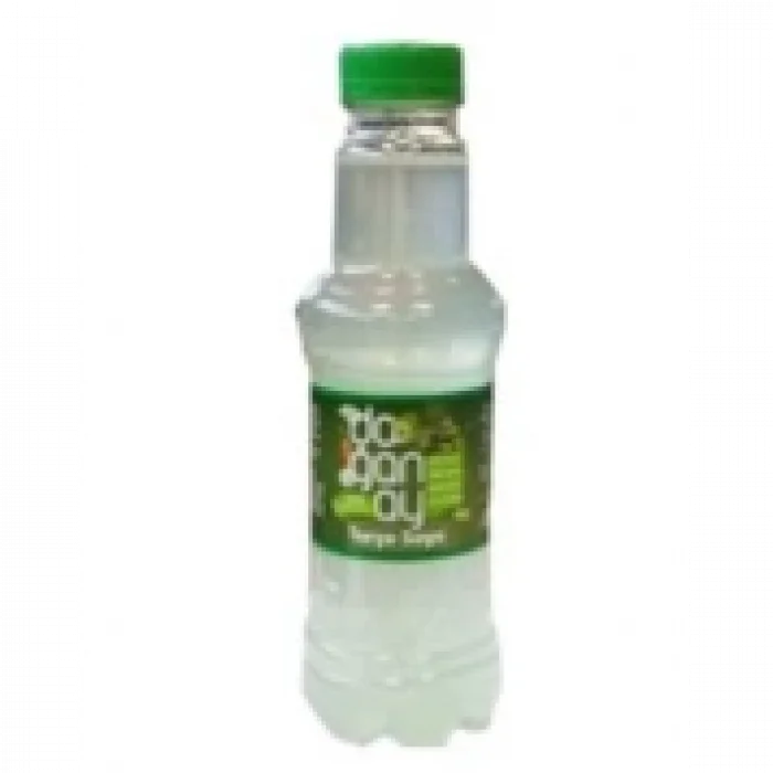 DOĞANAY SADE TURŞU SUYU 300ML PET X24