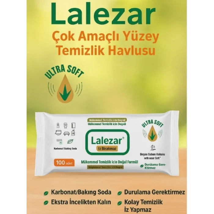 LALEZAR YÜZEY TEMİZLEME PAKET 100 LÜ X12