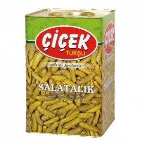 ÇİÇEK 0 NO SALATALIK TNK 10 KG X1