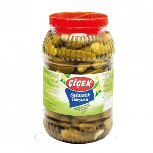 ÇİÇEK 2 NO SALATALIK TURŞU 3 KG X6