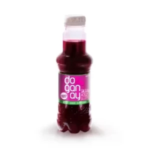 DOĞANAY ACILI ŞALGAM 300ML PET X24