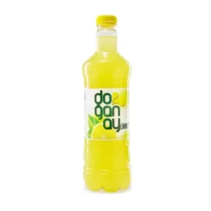 DOĞANAY PET SADE LİMONATA 2LT X6
