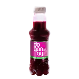 DOĞANAY SADE ŞALGAM 300ML PET X24