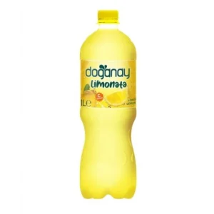 DOĞANAY PET SADE LİMONATA 1LT X12