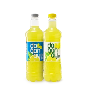 DOĞANAY PET SADE LİMONATA 1LT X12