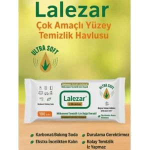 LALEZAR YÜZEY TEMİZLEME PAKET 100 LÜ X12