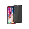 Apple Iphone 12 Mini 5.4 Privacy Hayalet 10d Ekran Koruyucu Siyah Cam