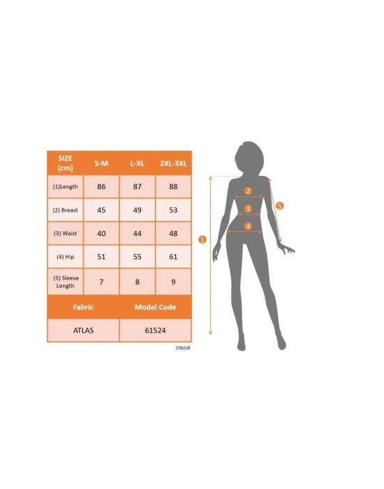 Kadın Kısa Gül Detaylı Kollu Bisiklet Yaka Cepli Mini Atlas Elbise