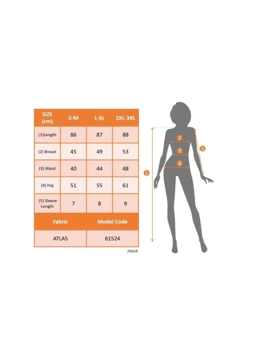 Kadın Kısa Gül Detaylı Kollu Bisiklet Yaka Cepli Mini Atlas Elbise