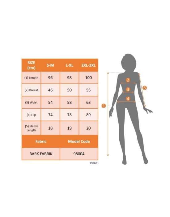 Kadın Kısa Kollu V Yakalı Fırfırlı Bürümcük Elbise