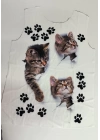 Kadın Kısa Kollu Kedi Ve Pati Baskılı Süprem T-shirt