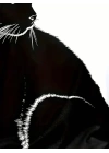 Kadın Uzun Kollu V Yakalı Kedi Baskılı şardonlu Dalgıç Bluz