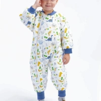 Begisa 2.5 Tog Uyku Tulumu