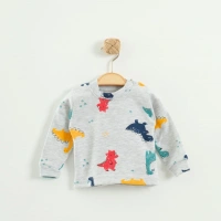 Nayinom Dinazor Desenli Bebek Aylık Badi