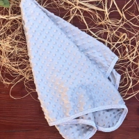 Newworld Tek Kat Nohut Battaniye